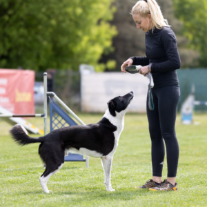 Motywacja - warsztaty