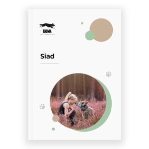 Siad