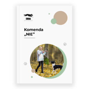 Komenda NIE