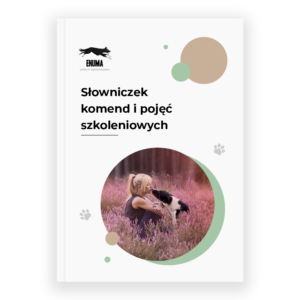 Słowniczek komend i pojęć