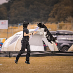 Dogfrisbee - konsultacje