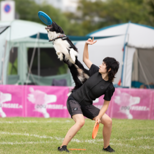 Dogfrisbee - konsultacje