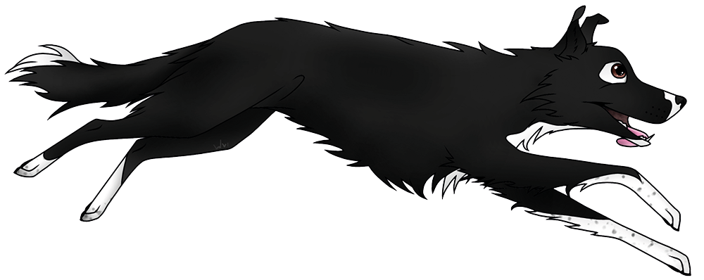 ikonka - strona główna