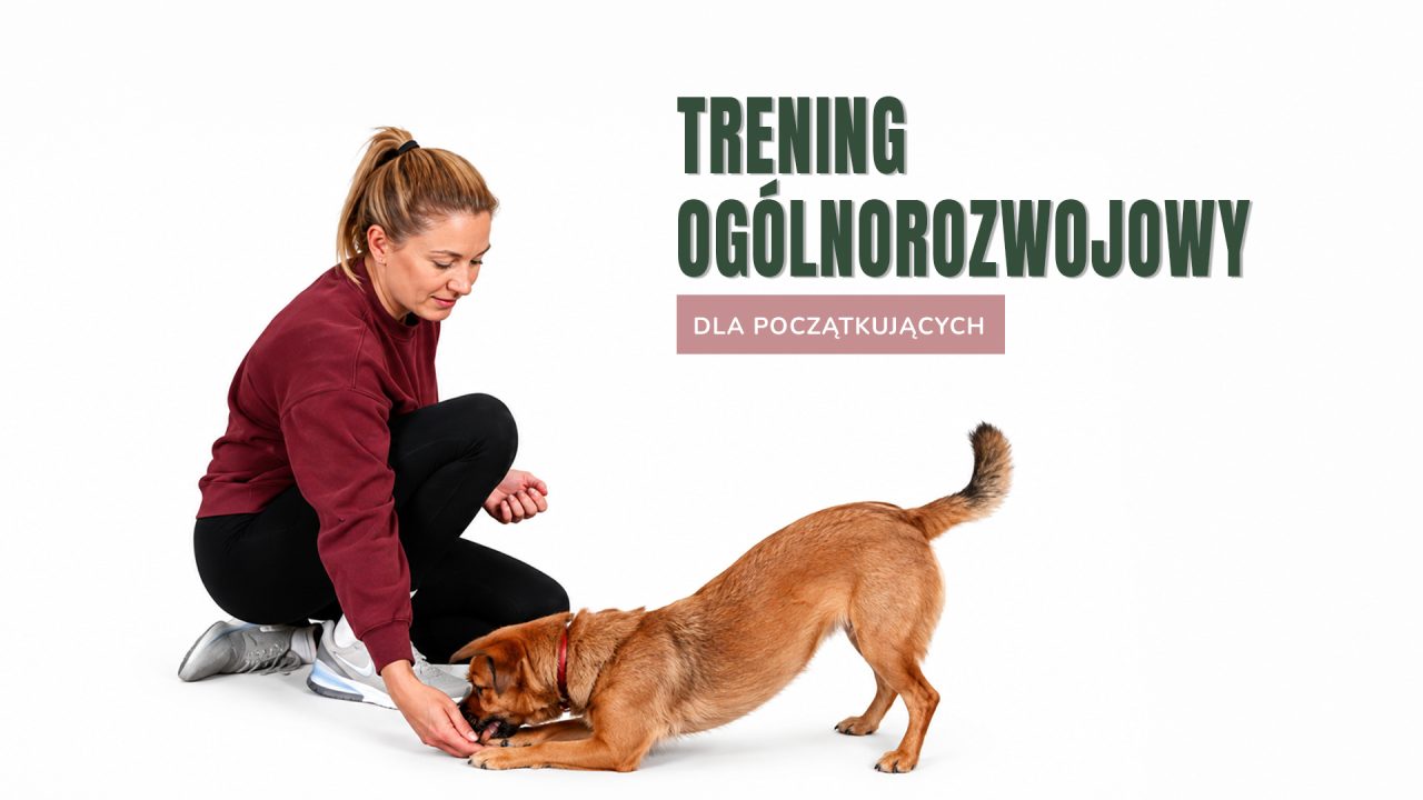 trening2